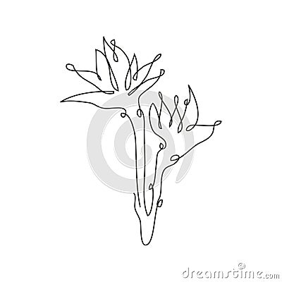 hand drawn floral decoration Vector Illustration