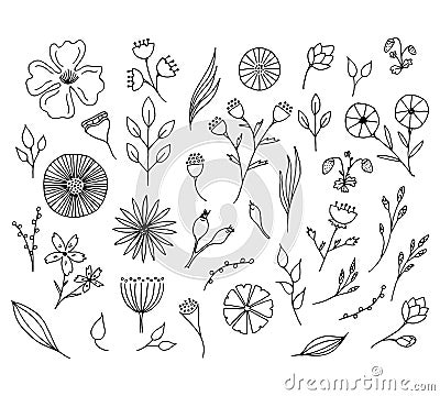 Hand drawn floral elements. Isolated doodle flowers. Vector Illustration