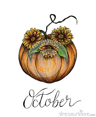 Hand drawn floral pumpkin isolated on white, autumn pumpkin card in fall colors and October text lettering, autumn design Cartoon Illustration