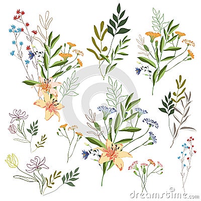 Hand drawn flower collection. Big set botanic branches, leaves, foliage, herbs, wild plants in bouquets Vector Illustration