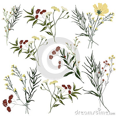 Hand drawn flower collection. Big set botanic branches, leaves, foliage, herbs, wild plants in bouquets Vector Illustration