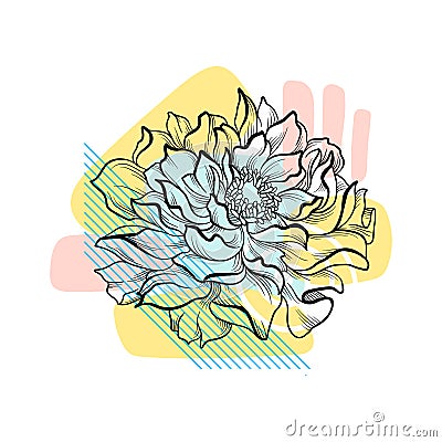 Hand drawn flower with colorful abstract backdrop. Botanical composition. Vector element for wedding invitation or Vector Illustration