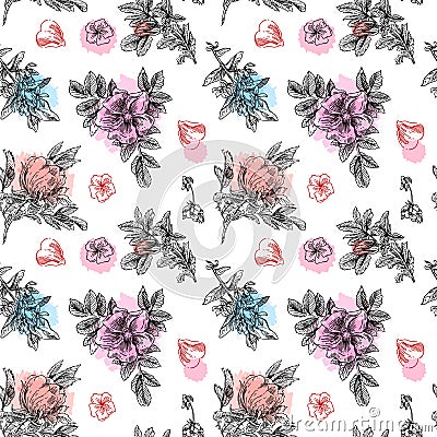 Hand drawn flowers Vector Illustration