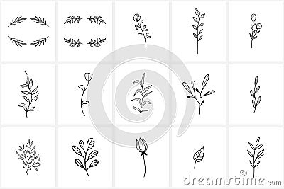 Hand drawn flowers logo elements and icons Vector Illustration