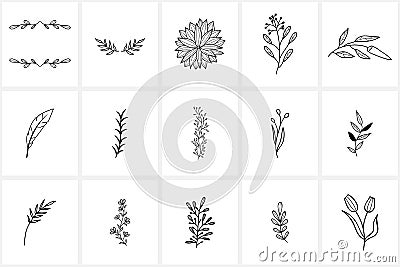 Hand drawn flowers logo elements and icons Vector Illustration