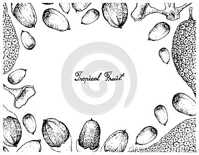 Hand Drawn Frame of Buah Dabai and Cempedak Fruits Vector Illustration