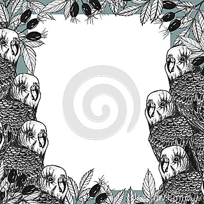 Hand drawn frame with parrots and dogrose branches Stock Photo