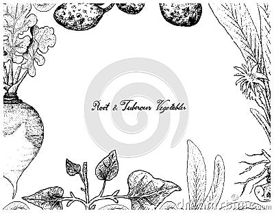 Hand Drawn Frame of Root and Tuberous Vegetables Vector Illustration