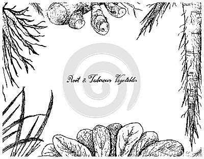 Hand Drawn Frame of Root and Tuberous Vegetables Vector Illustration