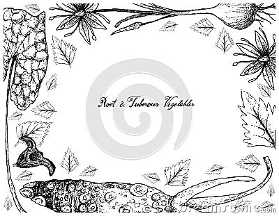 Hand Drawn Frame of Root and Tuberous Vegetables Vector Illustration