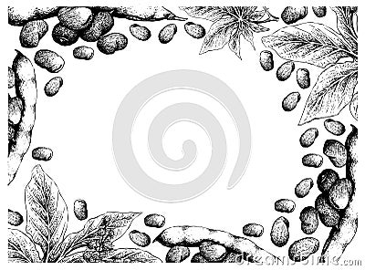 Hand Drawn Freame of Fava Beans and Castor Beans Vector Illustration