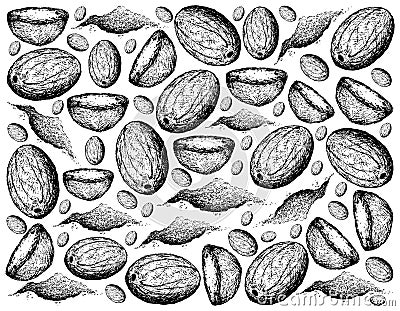 Hand Drawn of Fresh Nutmeg Fruits Background Stock Photo