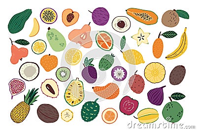 Hand drawn fruits. Sketch of doodle natural food. Tropical mango and banana. Fresh whole pineapple. Half of ripe pear Vector Illustration