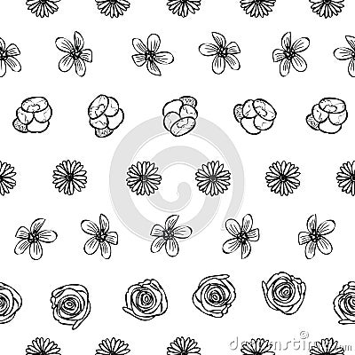 Hand drawn garden flower doodle seamless pattern background Vector Illustration
