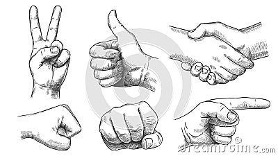 Hand drawn gestures. Pointer finger, strong fist and punch. Handshake, thumb up like and triumph victory gesture sketch Vector Illustration