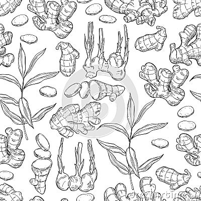 Hand drawn Ginger, root, leaves. Vector seamless pattern Vector Illustration