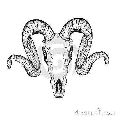 Hand Drawn goat skull doodle vector illustration. Dotwork fullf Vector Illustration