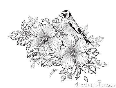 Hand Drawn Goldfinch Sitting on Hibiscus Branch Vector Illustration