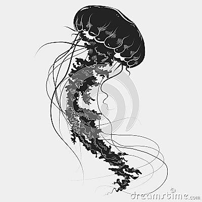 Hand drawn graphic jellyfish. Vector illustration. Tattoo sketch. Sea collection. on a white background Vector Illustration