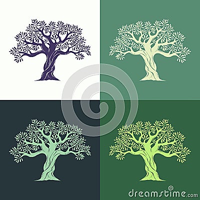 Hand drawn graphic olive trees set on different backgrounds. Vector Illustration
