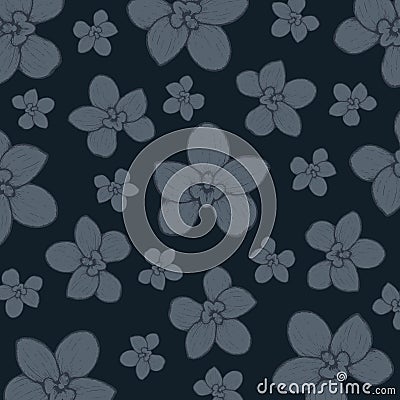 Hand-drawn Graphic Orchid: Amesiella Pop Colour 005 Cartoon Illustration