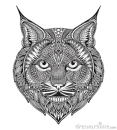 Hand drawn graphic ornate bobcat Vector Illustration