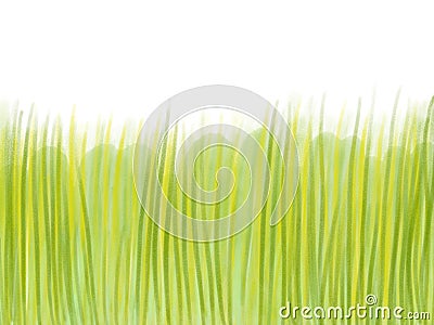 Hand drawn green grass on white background Cartoon Illustration