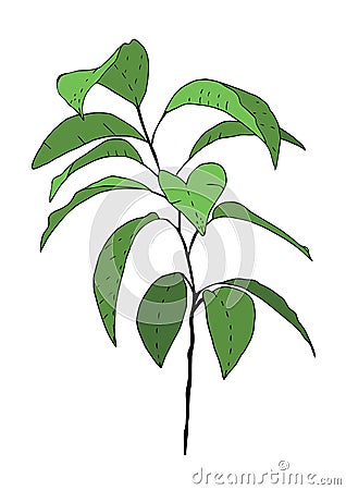 Hand drawn green tangerine tree. Vector Illustration