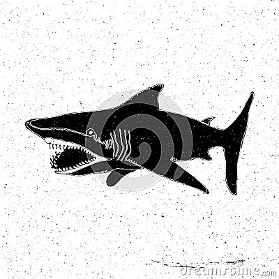 Hand-drawn hand a large shark with an open mouth Vector Illustration