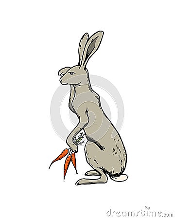 Hand drawn hare Vector Illustration