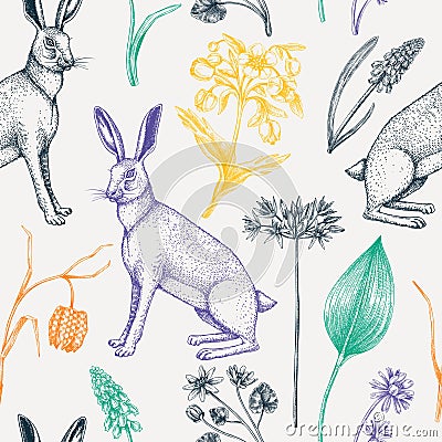 Hand-drawn hares background design. Vintage woodland flower sketches. Seamless spring pattern. Forest plants, wildflowers, and Vector Illustration