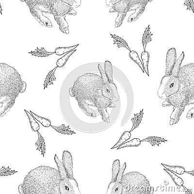 Hand drawn hares with carrots. Vector Illustration