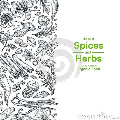 Hand drawn herbs and spices background. Vintage organic indian kitchen and asian spices vector cooking concept Vector Illustration