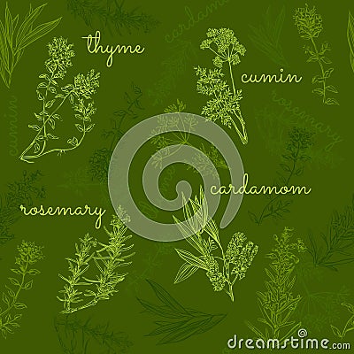 Hand-drawn herbs and spices collection seamless pattern Vector Illustration