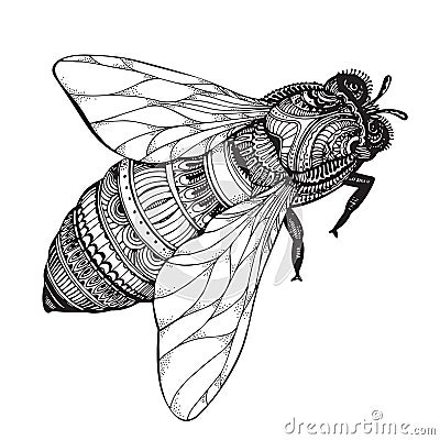 Hand drawn honey bee in zentangle style. Vector Illustration