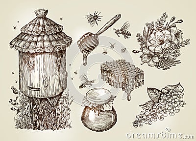 Hand drawn honey, beekeeping, bees. Collection vintage sketch vector illustration Vector Illustration