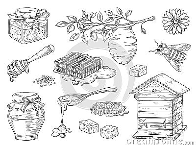 Hand drawn honey. Vintage bee honeycomb and honey jar sketch elements, doodle flowers and beeswax. Vector organic honey Vector Illustration