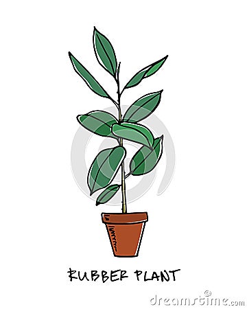 Hand drawn houseplant Vector Illustration