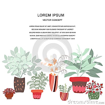 Cute houseplant illustration Cartoon Illustration