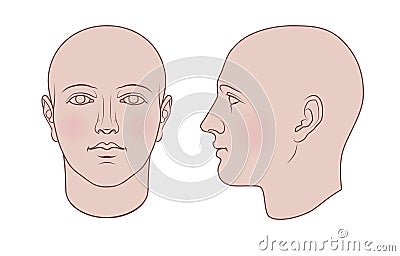 Hand Drawn Human Head in 2 Views, Colored Variant Vector Illustration