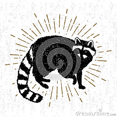 Hand drawn icon with textured raccoon vector illustration Vector Illustration