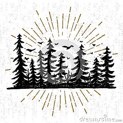 Hand drawn icon with a textured spruce trees vector illustration Vector Illustration