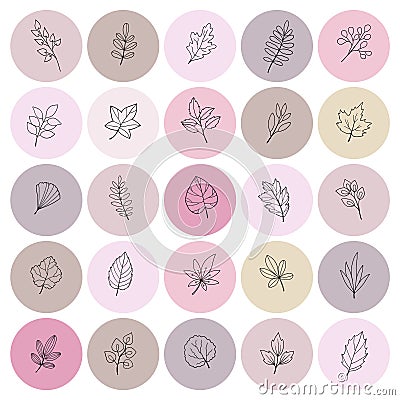 Hand Drawn Icons. Story Covers. Their prints of tender flowers will be perfect for beauty Vector Illustration