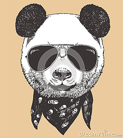Portrait of Panda with sunglasses and scarf, hand-drawn illustration, vector Vector Illustration