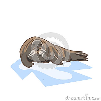 Hand drawn illustration of bearded seal on ice. Grey northern marine nautical animal zoo, arctic environment biology Cartoon Illustration