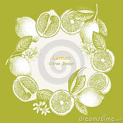 Hand drawn illustration with citrus fruits. Vector Illustration