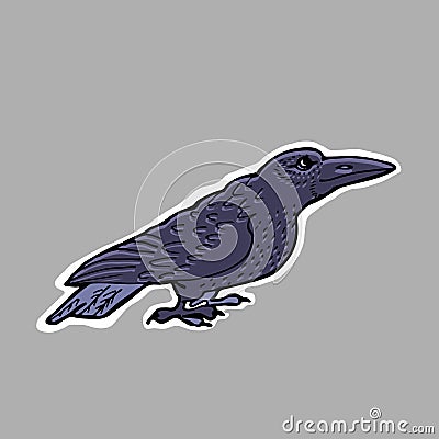 Hand drawn illustration. Evil black raven. Sticker. Carto Vector Illustration