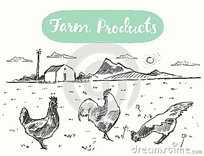 Drawn range chicken farm fresh meat vector sketch Cartoon Illustration