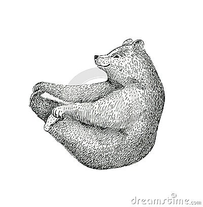 Hand drawn illustration of fun a bear isolated on vintage backg Cartoon Illustration