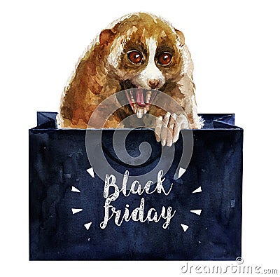 Hand-drawn illustration with funny lemur lory with the inscription `Black friday` Stock Photo